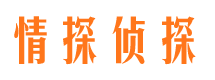 秀峰市侦探公司